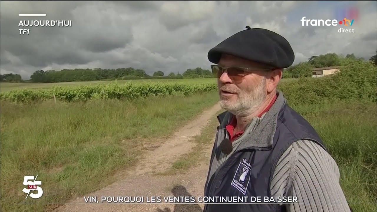 Vin : les ventes continuent de baisser en France
