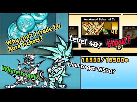 Most Asked Questions Of New Players ~ Mid-Game | Battle Cats Guide