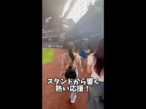 #北海道武蔵女子短期大学 #武蔵女子短大 #エスコンフィールド #ファイターズ #日ハム #北海道武蔵女子大学 #ゼミ活動 #学生生活 #特別体験 #球場見学 #試合観戦 #思い出の1日 #学びと体験