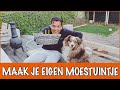 Moestuinieren voor je huisdieren! | DierenpraatTV