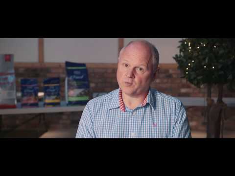 The benefits of feeding your dog Fish4Dogs Complete Food