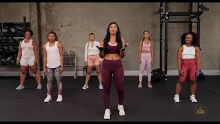 PILAR SANDERS FIT4LIFE