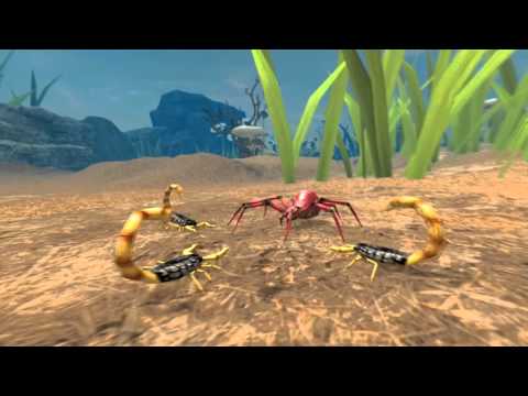 Life of Scorpion Video