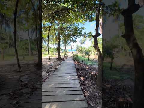 #mochilão #praia #travel #nômade #bahia #itacaré