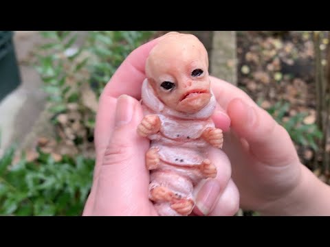 10 Unusual Animals You Won't Believe Exist