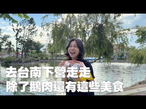 台南下營｜比起鵝肉，我更喜歡這個小鎮的日常｜藏起來的無名麵店，開了50年的米苔目，有上千隻烏龜的武承恩公園｜下營美食｜下營玄天上帝廟｜台南旅遊