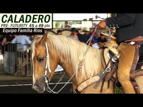 Pre-Futurity - Rios Family Team - 45-49 pts prospects - Part 1