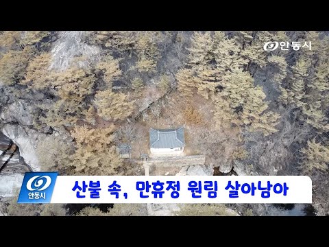 [안동 현장 리포트] 4월 3일, 잿더미 속 살아남은 문화재