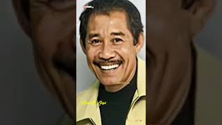 Download lagu Mengenang Sam D'Lloyd, dulu dan sekarang #shorts mp3