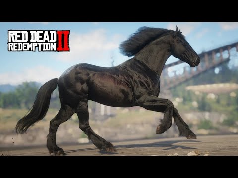 THE FRIESIAN HORSE - THE BLACK STEED - JOHN MARSTON'S FARM - Red Dead Redemption 2