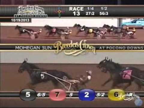 Breeders Crown 3Y Trot 2013 -Spider Blue Chip
