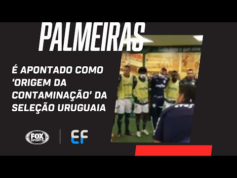 PALMEIRAS É APONTADO COMO 'ORIGEM DA CONTAMINAÇÃO' DA SELEÇÃO URUGUAIA, DIZ JORNAL; EF comenta