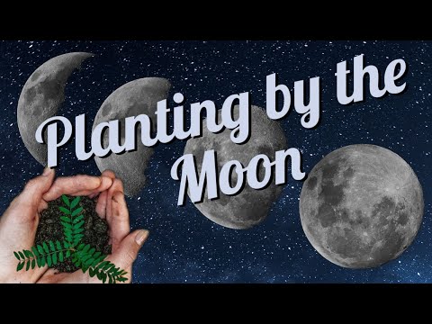 , title : 'Does Planting by the Moon Work and What is It?'