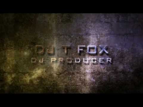 DJ T-FOX Teaser .mpg
