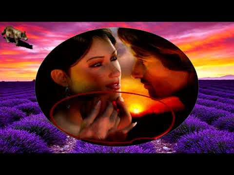 MIRZINO JATO-APSOLUTNO TVOJ (TEKST)