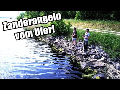 Zander fishing from the shore | 3 tips for MORE zander!