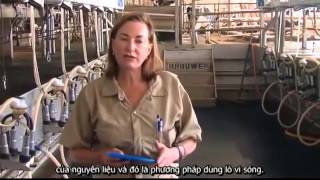 Máy trộn thức ăn Jaylor - TMT: Dinh dưỡng bò sữa/Xác định khối lượng chất khô