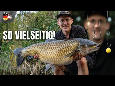 Damit hakst du ALLE KARPFEN! | Variationen des Ronnie Rigs mit Alexander Kasperidus!