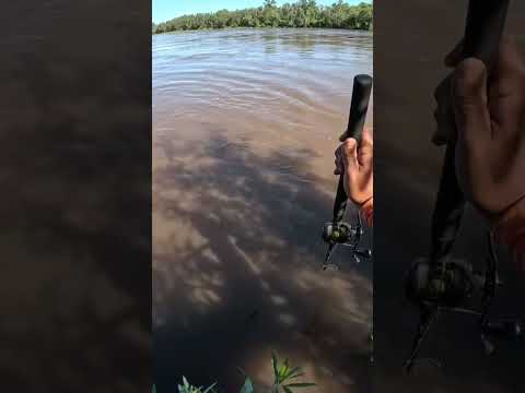 Pesca y Cocina LOS GOMEZ CHICO, Ríos Crecidos, Tucumán #Pesca #pescaycocina #fishing #fish #dorados