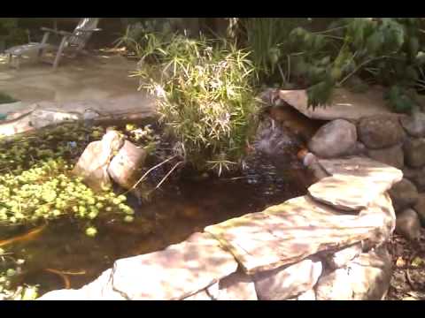 video-2010-03-07-13-01-37