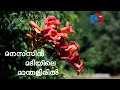 Manasin Madiyile Vijay Superum Pournamiyum Whatsapp Status Malayalam