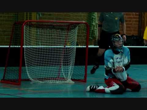 sörmlands sm p15 2010