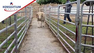 Download lagu Lot 113 mp3 Download lagu Lot 113 mp3