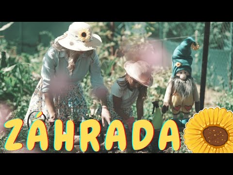 Iveta Masníková – ZÁHRADA (oficiálny videoklip)