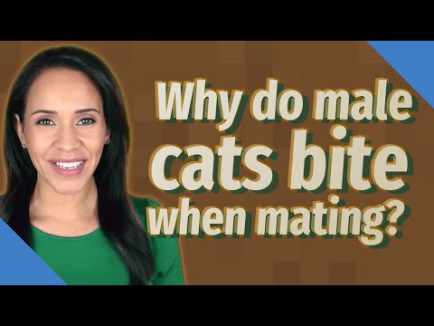 Why do male cats bite when mating?