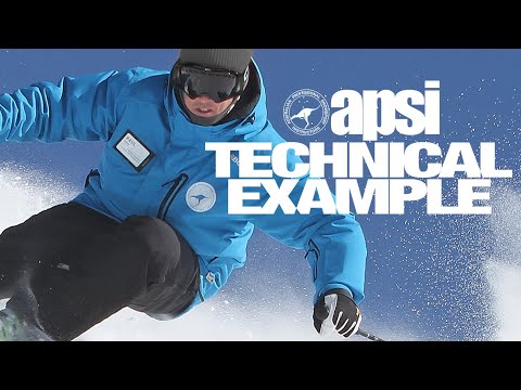 APSI Technical Example