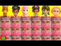 Collect Nella The Princess Knight Mashems