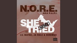 She Tried (Remix) (feat. Lil Wayne, Ja Rule, Birdman)
