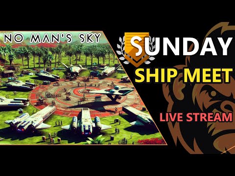???? Sunday Ship Meet | Unleash The Best Ships In No Man's Sky ORBITAL
