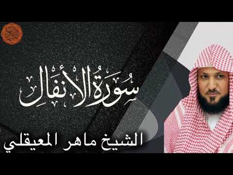 Maher al Muaiqly Surah al-Anfal | الشيخ ماهر المعيقلي سورة الانفال