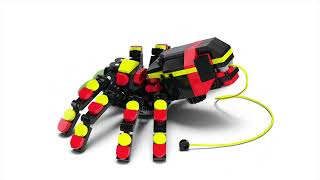 LEGO® Creator 3v1 31159 Divoká zvířata: Překvapivý pavouk