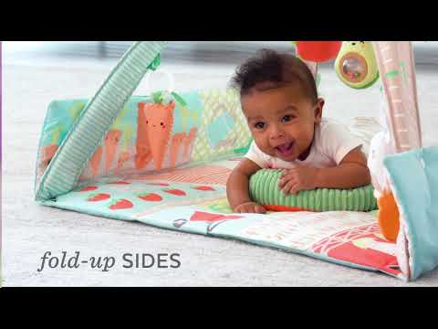 Skip Hop Farmstand Grow & Play Activity Gym