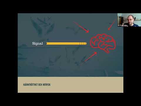 Hjärntrötthet – Eller vad vi nu ska kalla det…