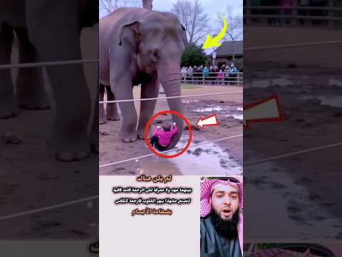الرحمة كانت كافية لتصنع مشهدا تعليميا يبهر القلوب😱😰😨🥹☝️😭🥰😘👍💯❤️❤️🥲 #comedy#animals#shortvideo#shorts#
