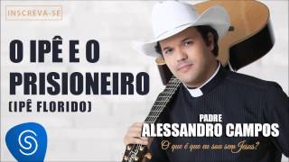 O Ipê e o Prisioneiro (Ipê Florido) Music Video