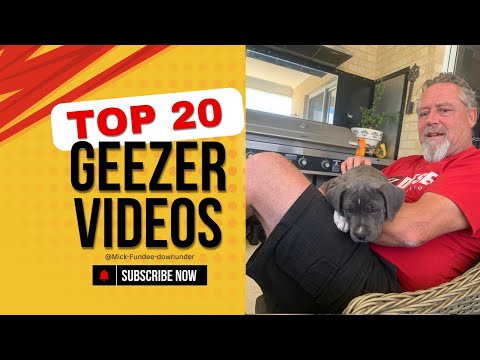 NO Twerking! Out come the BIG Guns #lol #dogsbeingdogs #americanstaffy #funnyvideo #didyouknow #dog