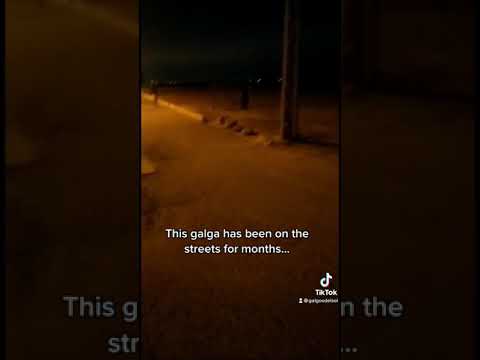 Living on the streets for months!!!