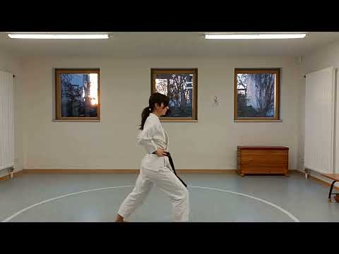taikyoku shodan enbusen shotokan karate zum 9.Kyu (weißer Gürtel)