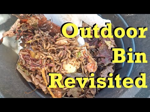 Refit, restoration & recovery of my outdoor worm system - vermicomposting