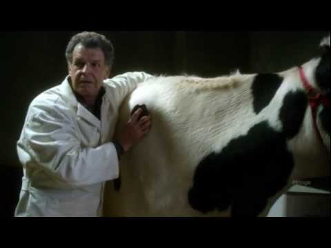 Fringe Episode 4.09 Scene - You Have A Visitor Dr Bishop