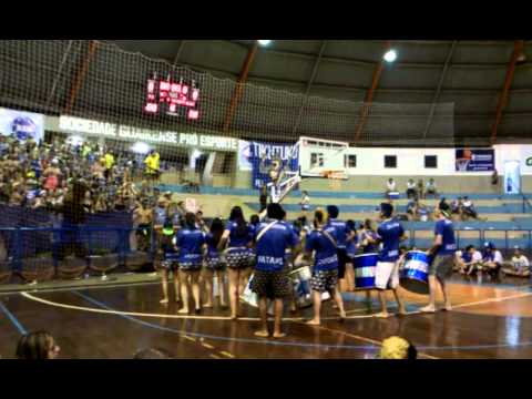 Caipirusp 2015 - Ziriguidum