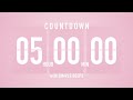 5 Hour Countdown Timer Flip Clock With Simple Beeps