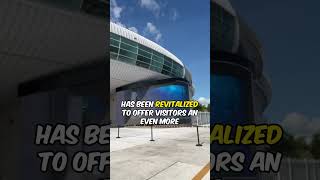 Cruise Port Shorts - New Nassau Cruise Port Guide in Nassau Bahamas