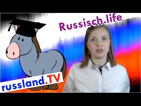 Russisch: Lustige Grammatik für Dumme! [Video]
