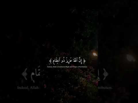 #rosé #night #sad #winter #explore #trend #hashtag