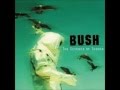 Bush -The Chemicals Between Us - Robert G. Fullarton Bush -The Chemicals Between Us